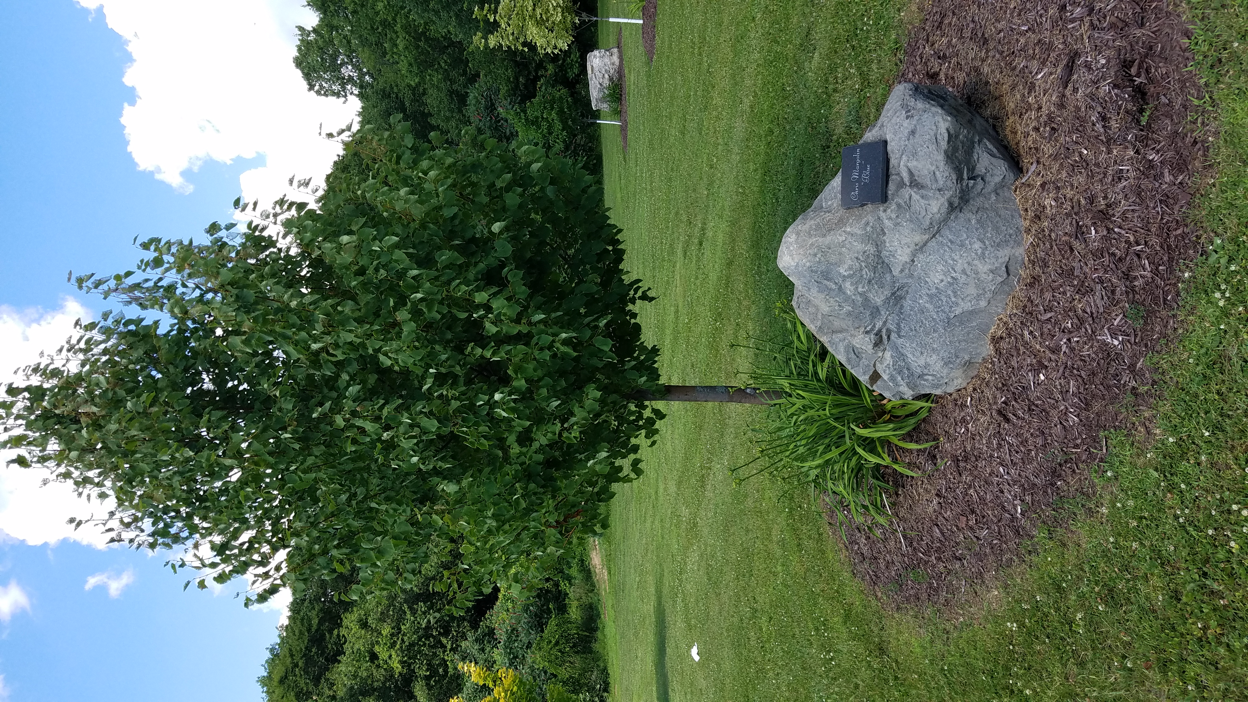Photo11