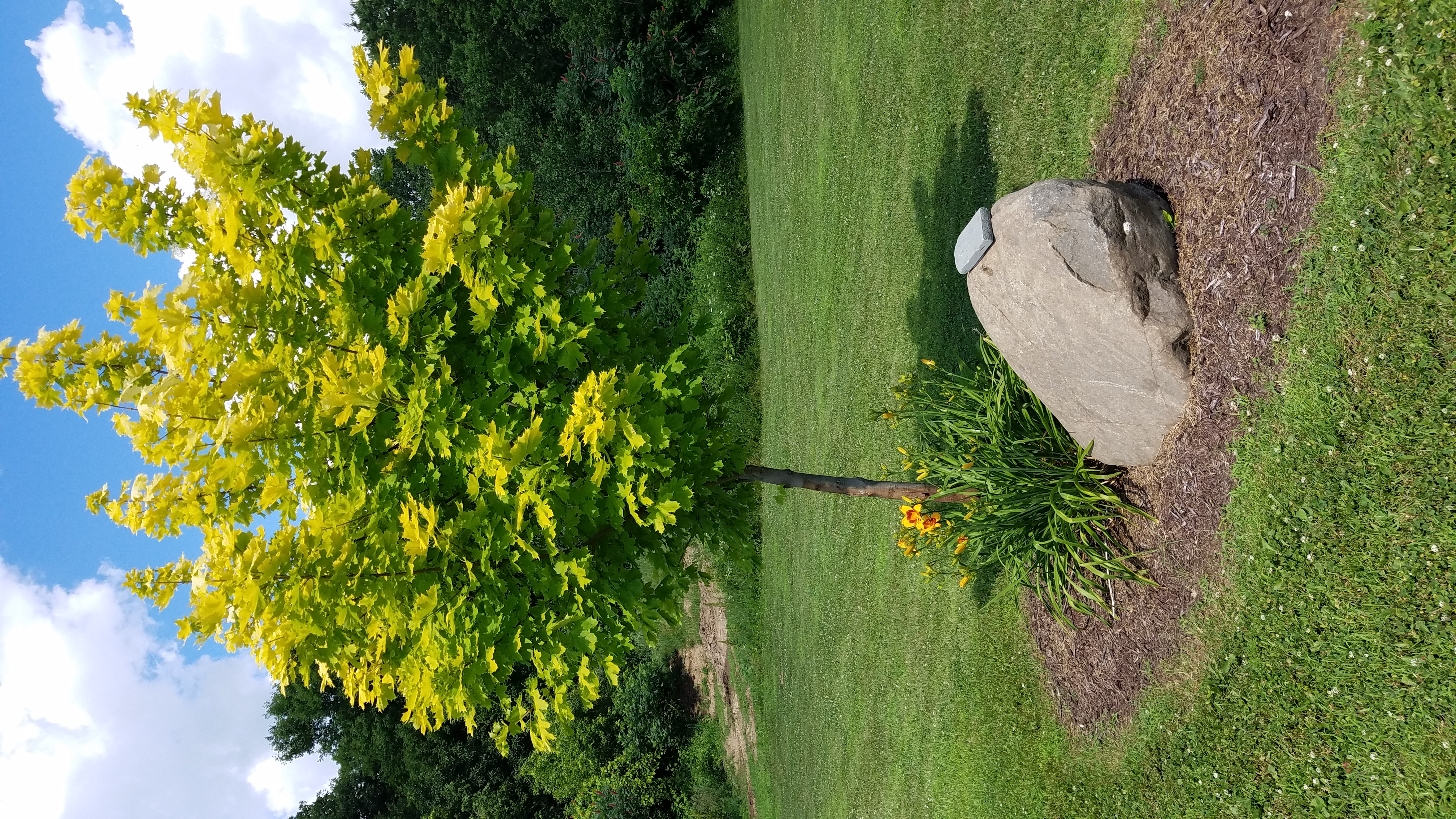 Photo15