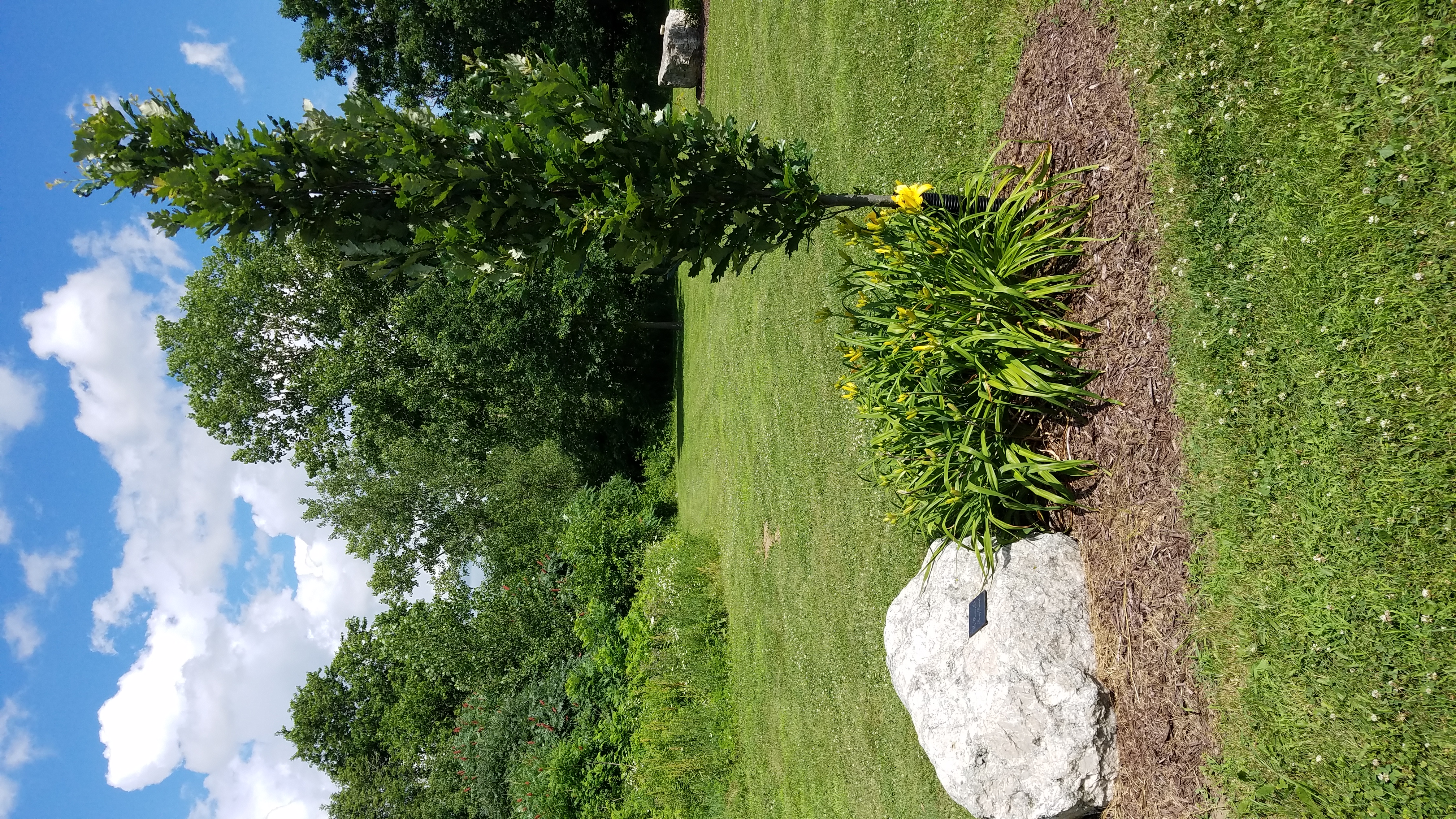 Photo04