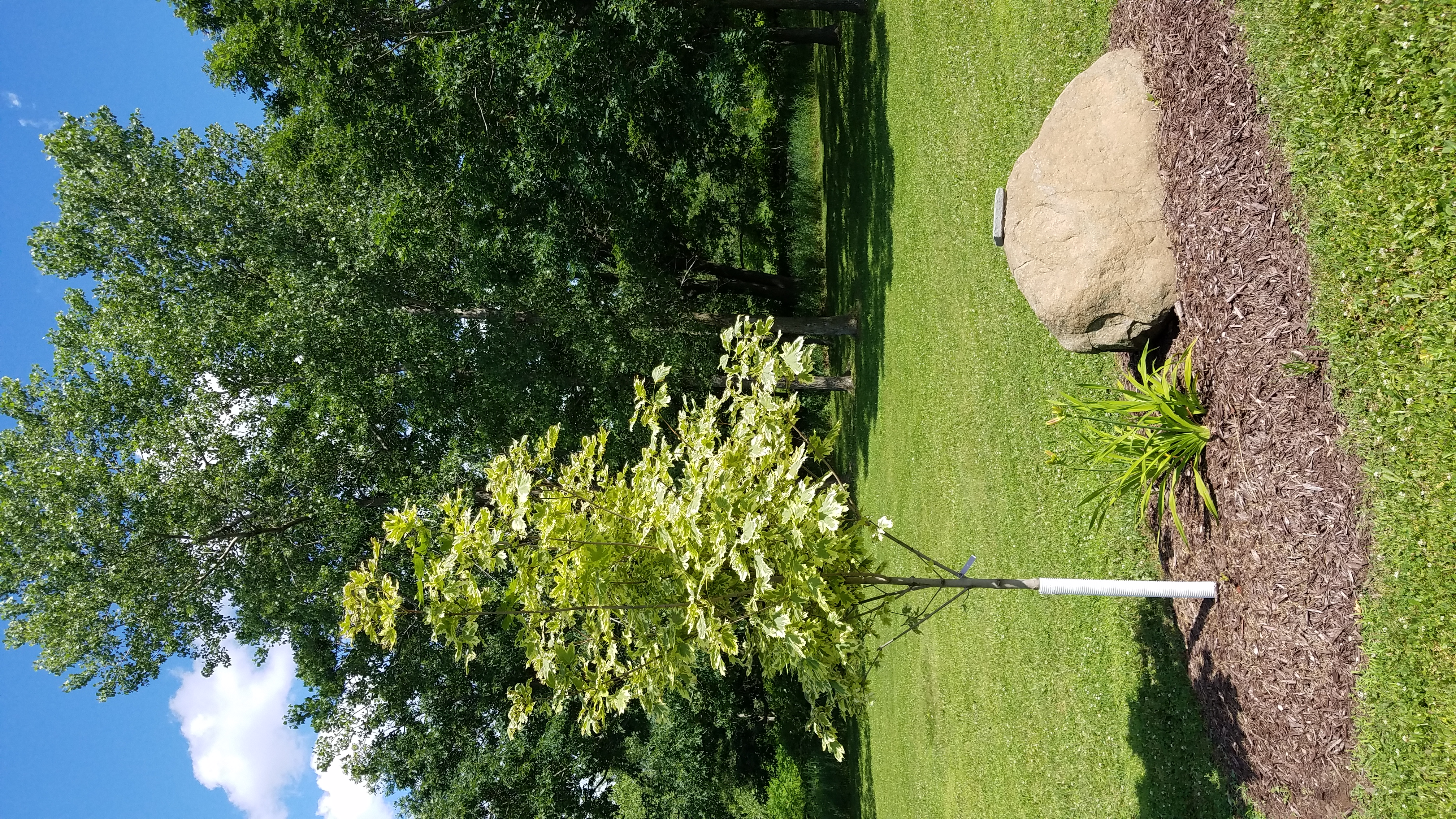Photo14