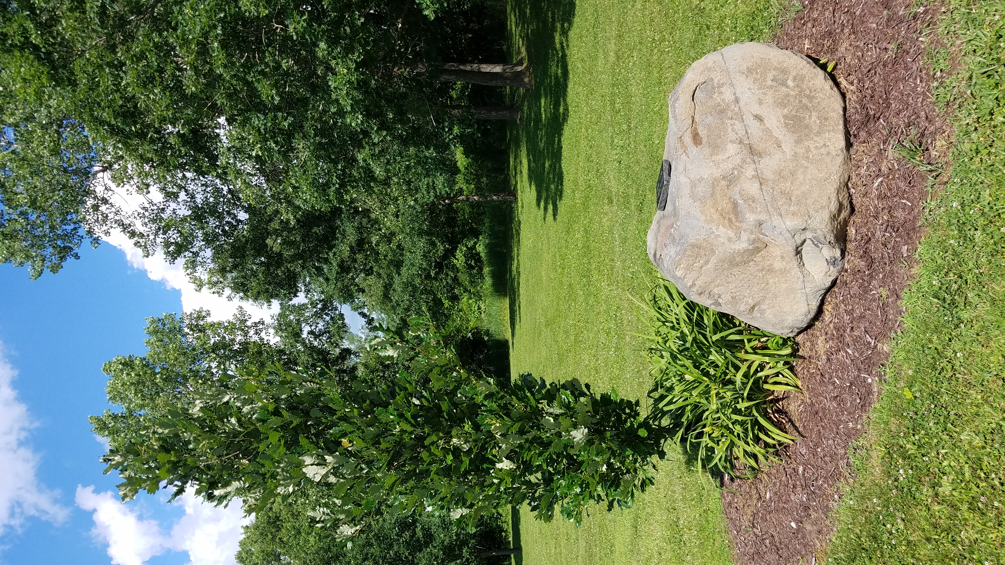 Photo18