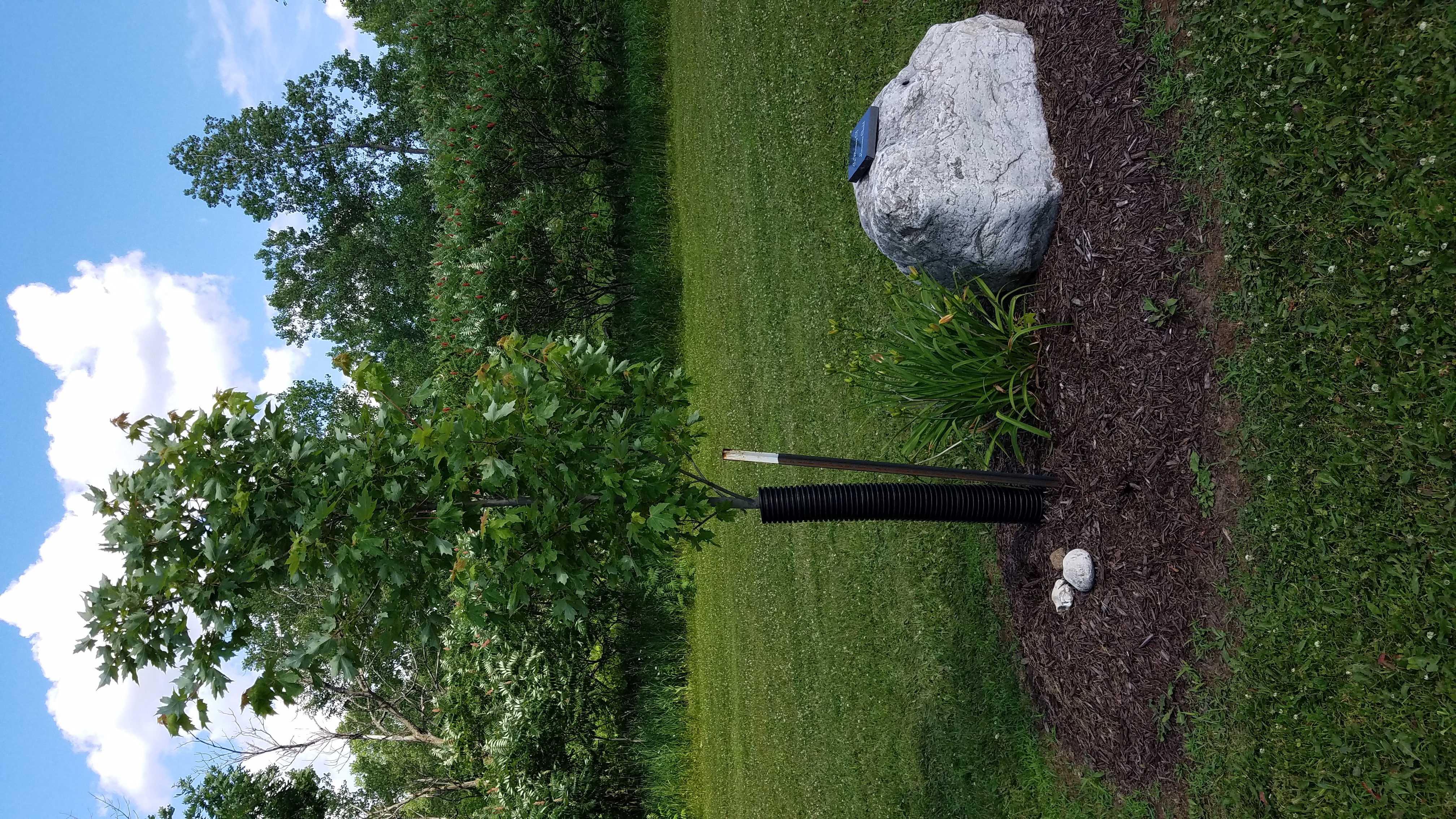 Photo08