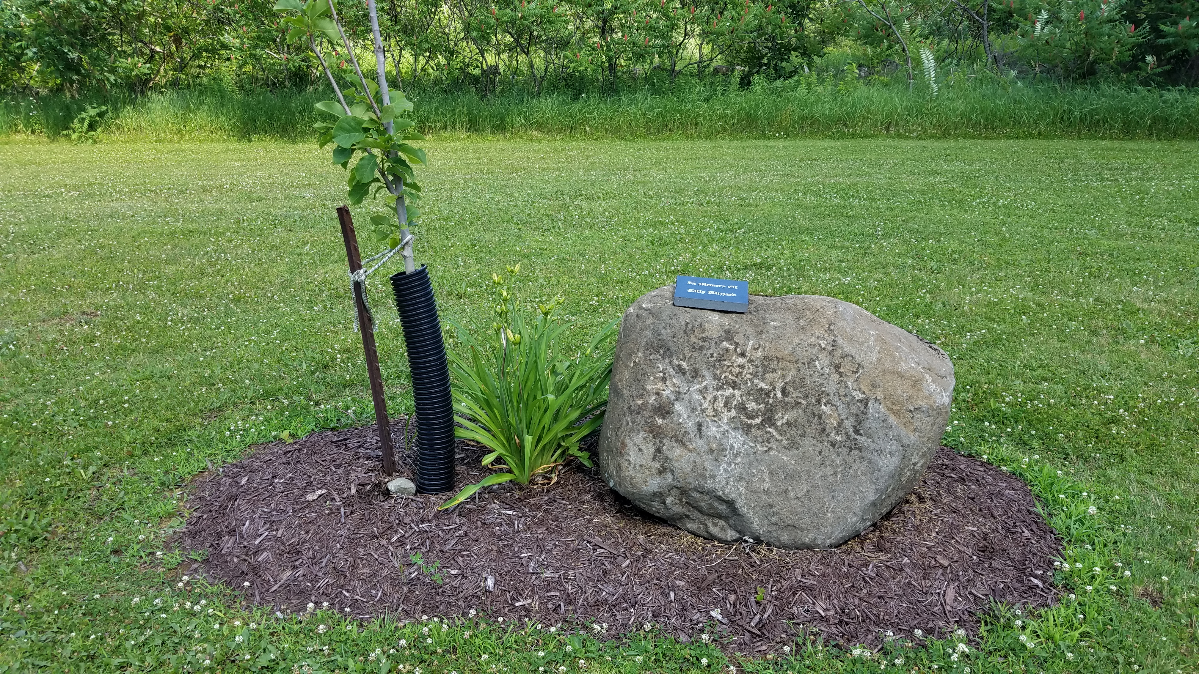 Photo05
