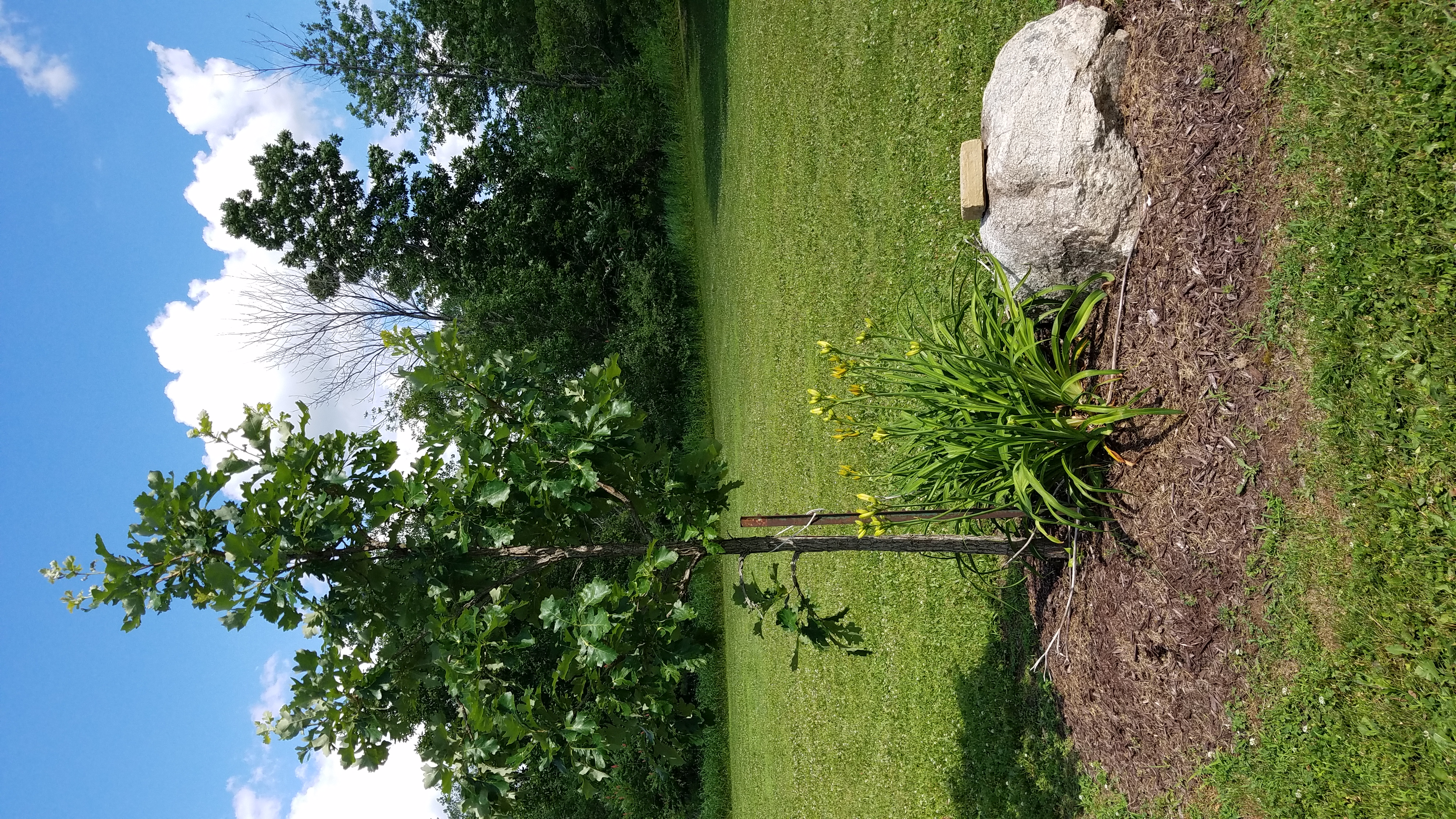 Photo09
