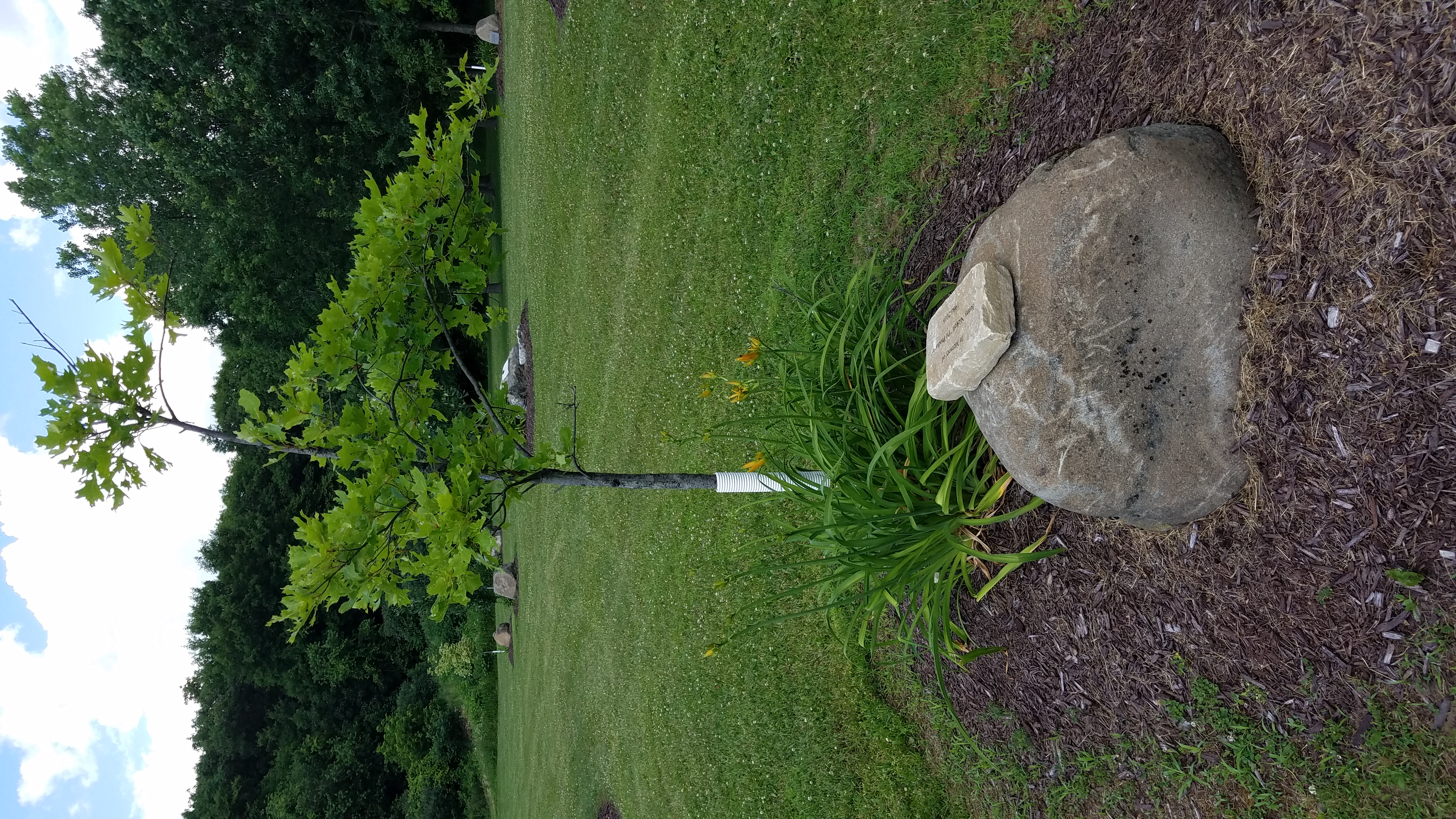 Photo13
