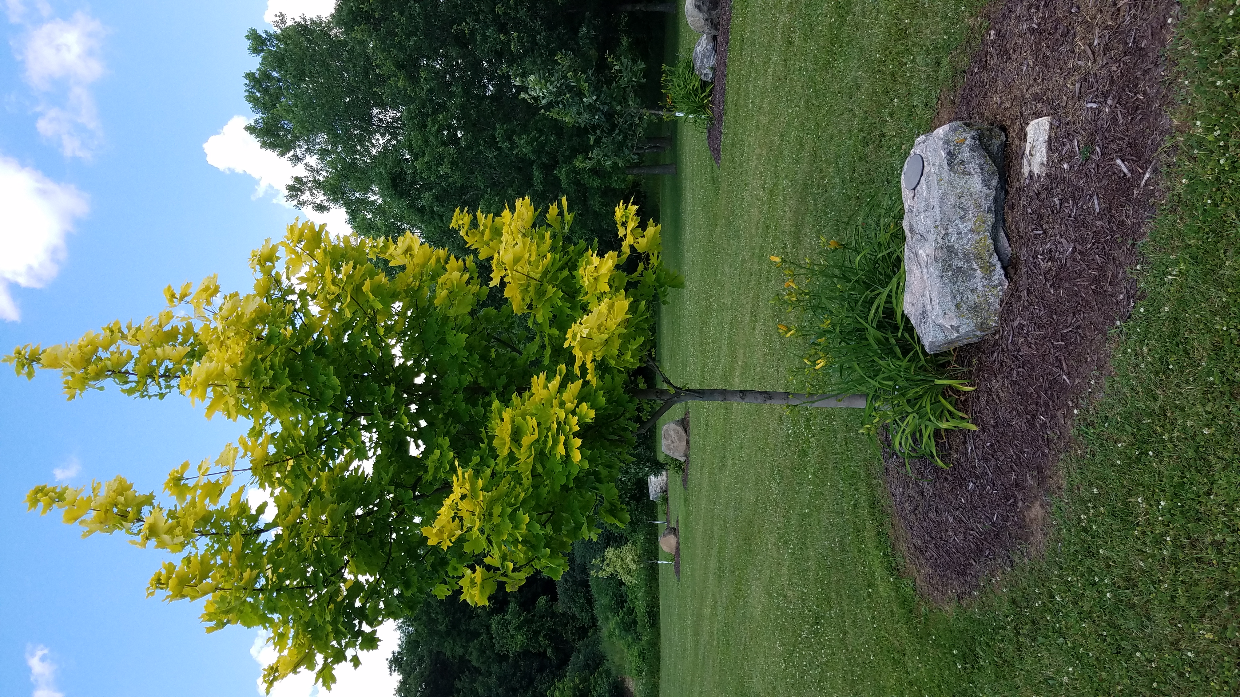 Photo17
