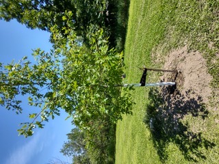 Photo19